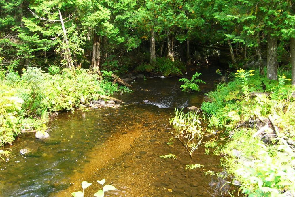 Terrain résidentiel dans un environnement exceptionnelle ! | 3277656