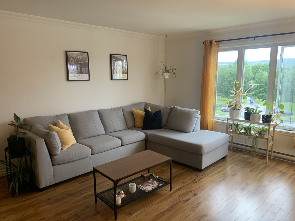 Super Appartement Spacieux Style Condo | 3266824