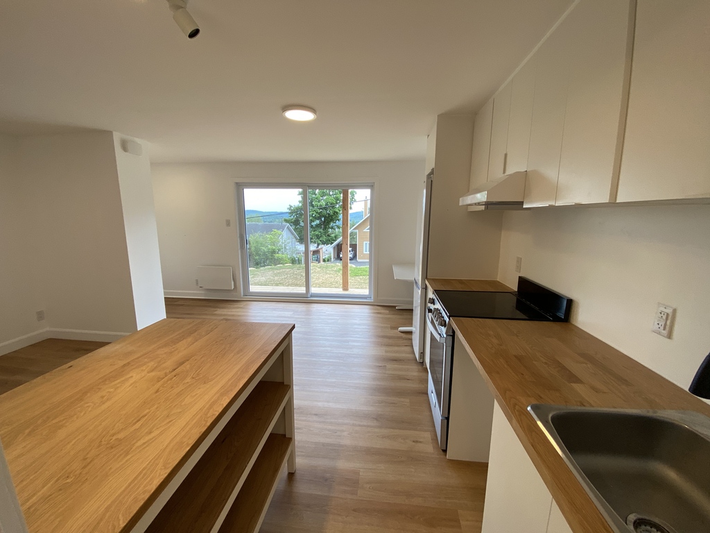 3 Et 1/2 Neuf Meublé à Sainte-Agathe | 3272609