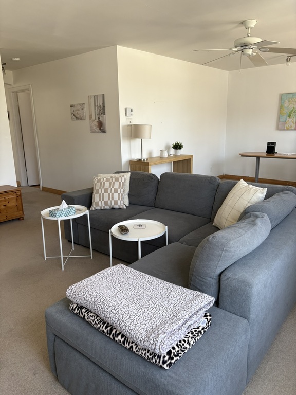 Lumineux 5 1/2 à Louer | 3267388