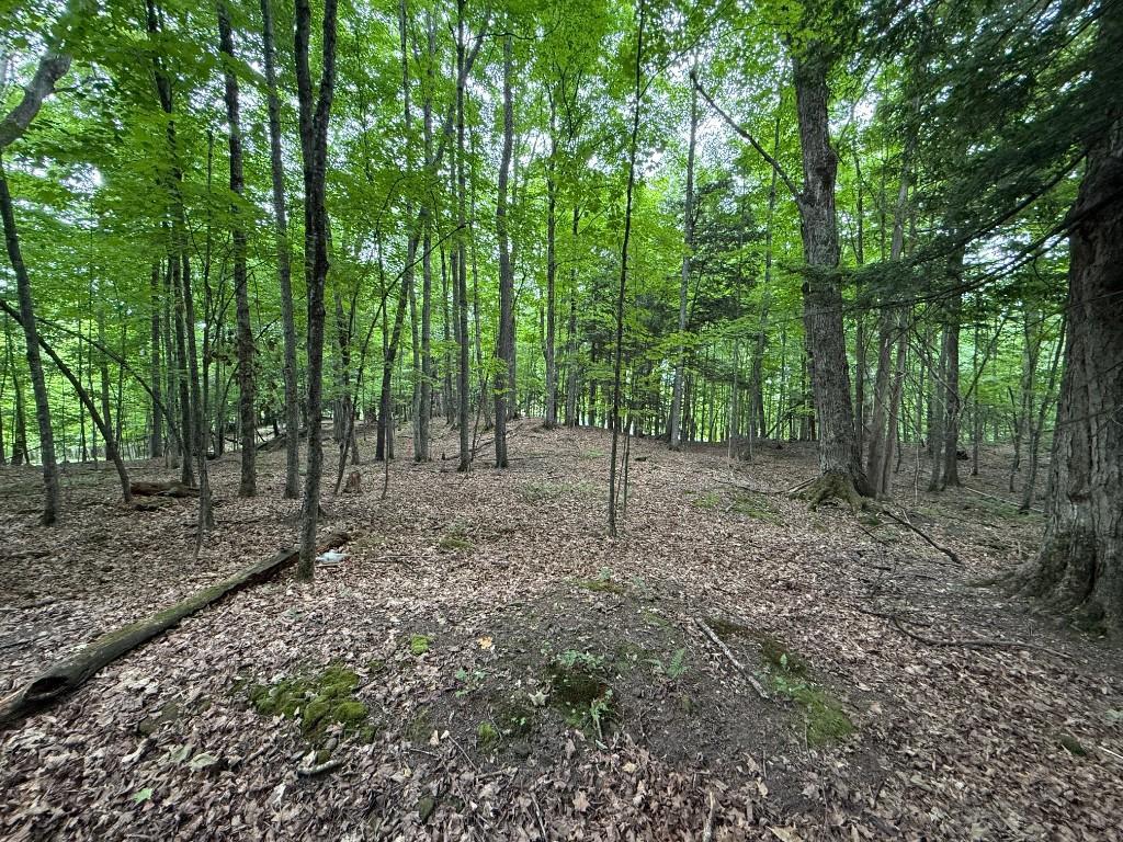 Terrain a vendre 75 000pc, Rue Scott Ayer's Cliff | 3281386