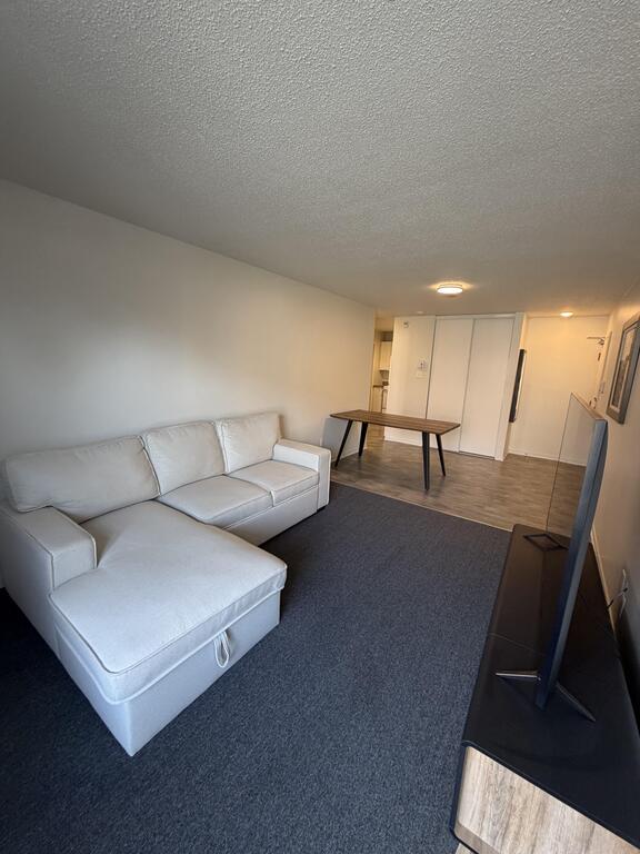 Appartement 3 1/2 à Louer Le 1er Mai | 3264448