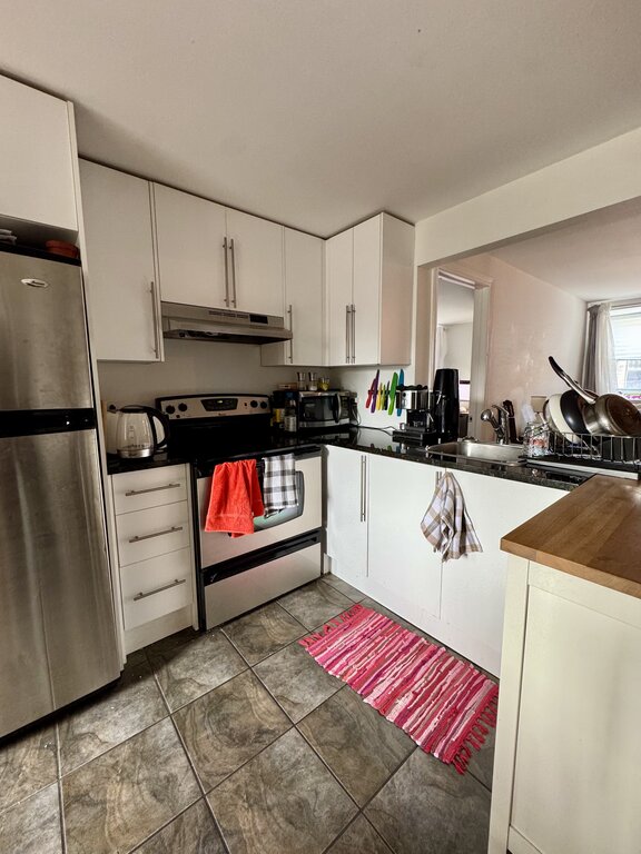 Pointe St-Charles - Beau 3 1/2 Lumineux | 3266556