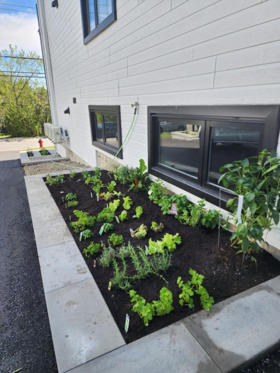 5 et demi Centre-Ville Sainte-Adèle | 3282807
