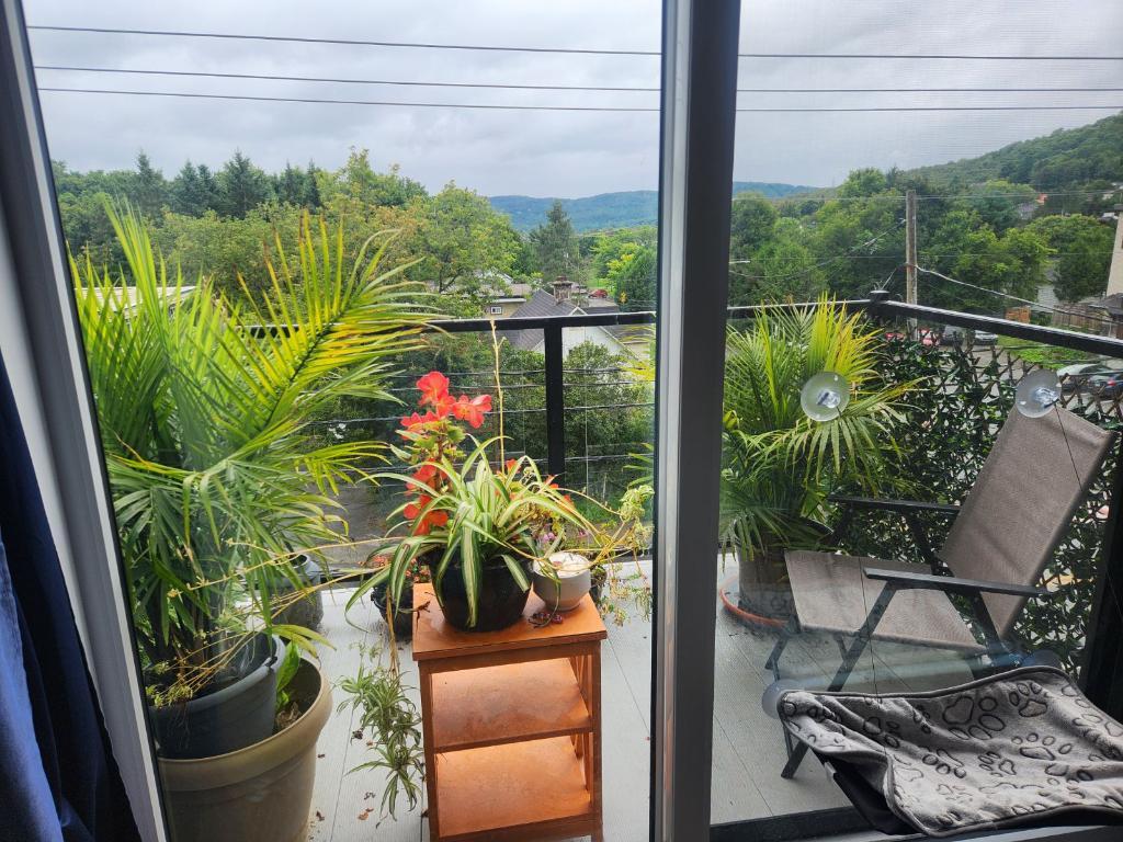 5 et demi Centre-Ville Sainte-Adèle | 3282807