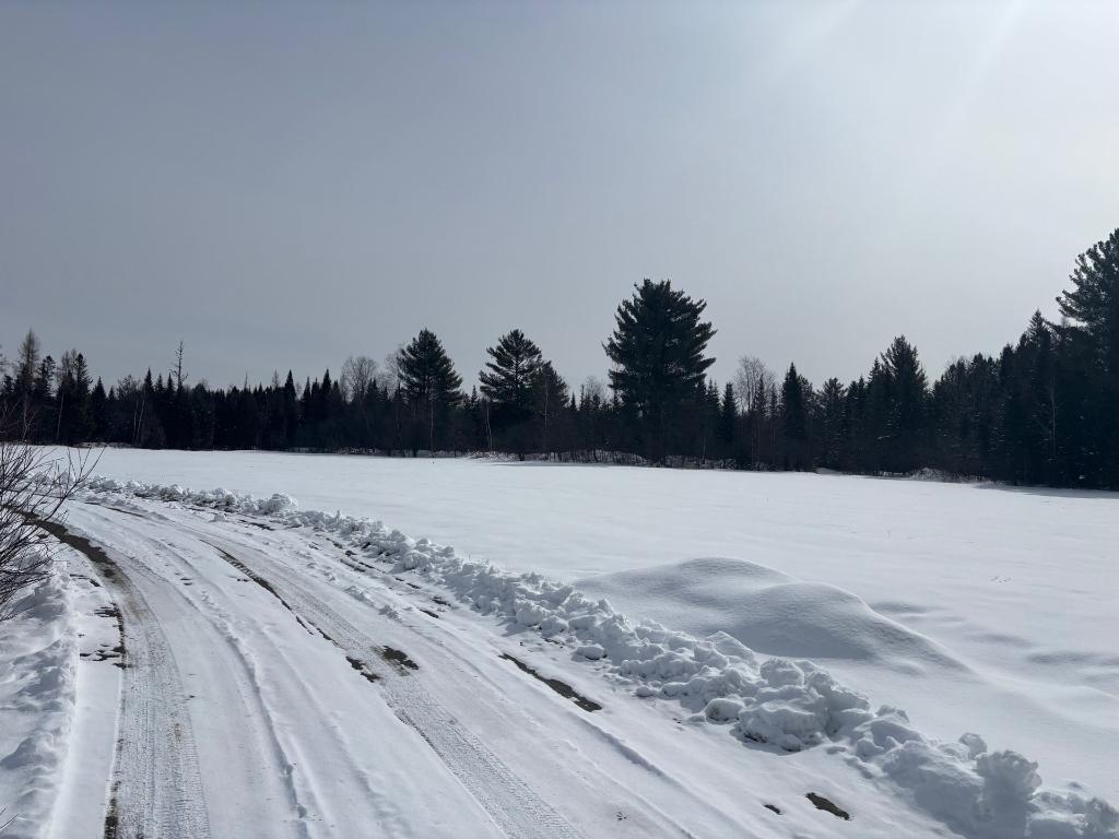 Estrie: terre à Dudswell à vendre, à seulement ± 30 minutes de Sherbrooke | 53,7 ha (132,8 acres). | 3278198
