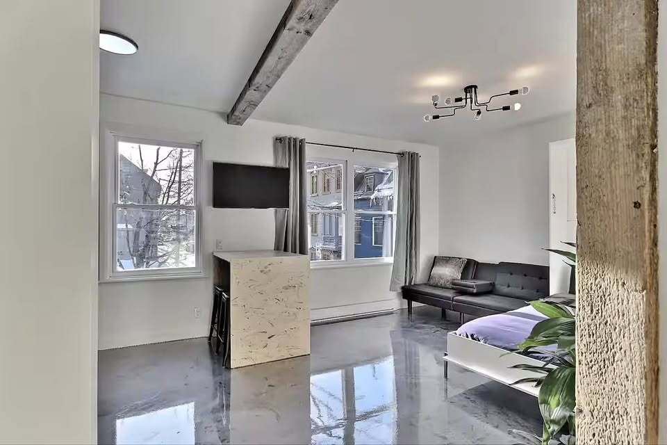 Appartement Rénové Tout Meublé | 3289085