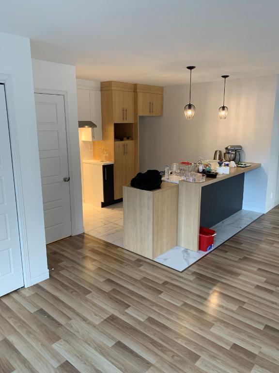 Superbe logement 5 1/2 à St-Nicolas, 2ème étage, climatisé, 2 STATIONNEMENTS EXTÉRIEURS INCLUS, LIBRE LE 1IER JUILLET 2026 | 3276801