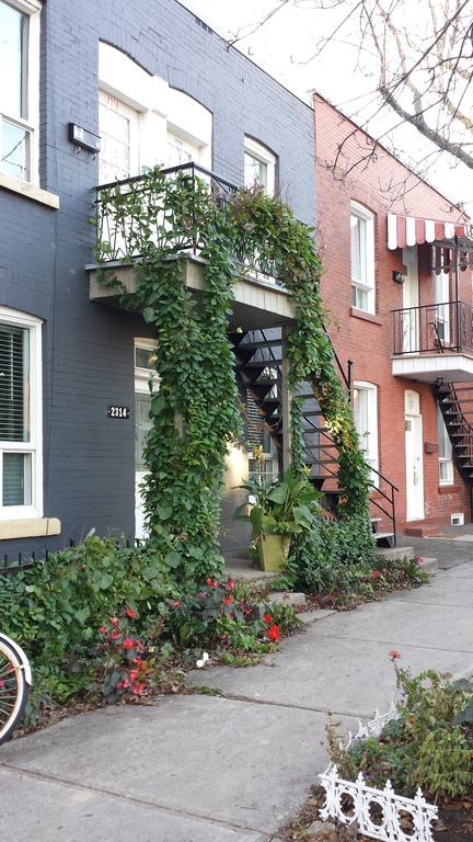 Grand 2 1/2 Très Ensoleillé / Semis-meub | 3265976