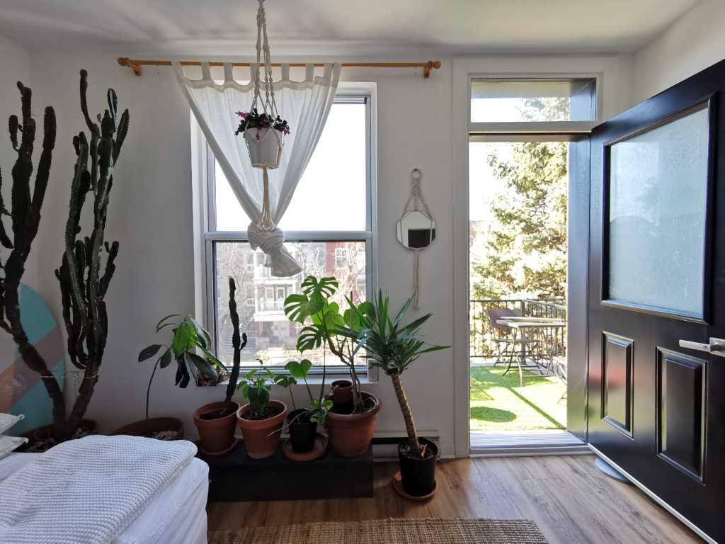 Grand 4 ½ lumineux sur Le Plateau – Disponible juillet – 4671 Avenue Papineau – 1 840$/mois (Entre Mont-Royal et St-Joseph) | 3277596