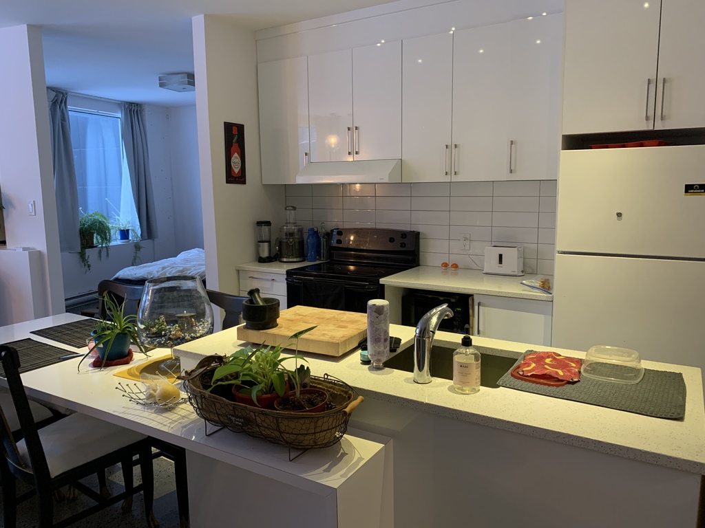 Loft Moderne Au Centre-ville | 3275572