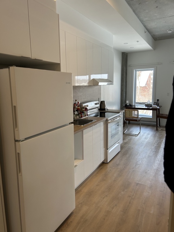 Loft Neuf (3 1/2) Semi-meublé. Gym! | 3263570