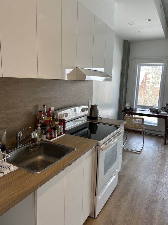 Loft Neuf (3 1/2) Semi-meublé. Gym! | 3263570