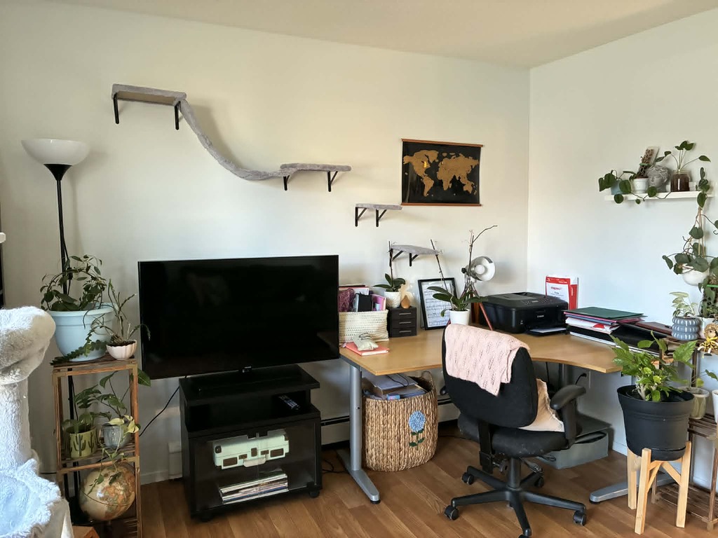 3 1/2 à Louer - Près De L'UdS | 3263566