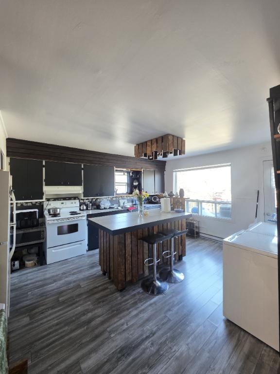 sainte agathe des monts tres grand 4 1/2 renover | 3280941