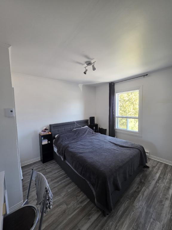 sainte agathe des monts tres grand 4 1/2 renover | 3280941