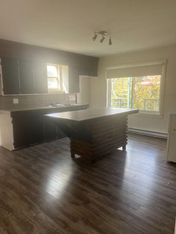 tres grand 4 1/2 sainte agathe des monts eclairer | 3280942