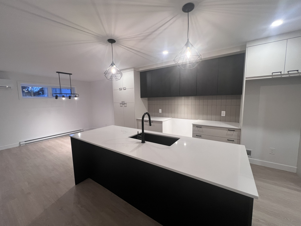 Magnifique 4 ½ Completement Neuf à Louer | 3227019