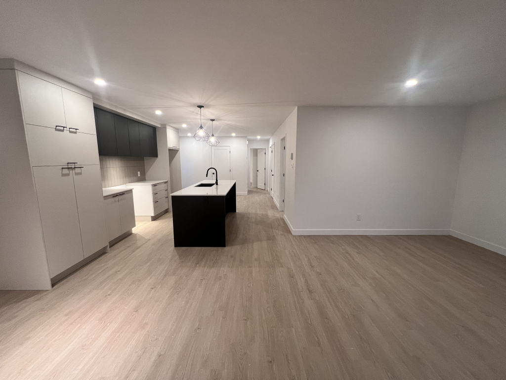 Magnifique 4 ½ Completement Neuf à Louer | 3227019