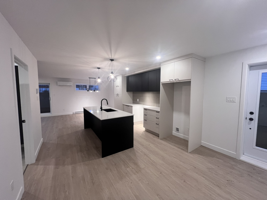 Magnifique 4 ½ Completement Neuf à Louer | 3227019