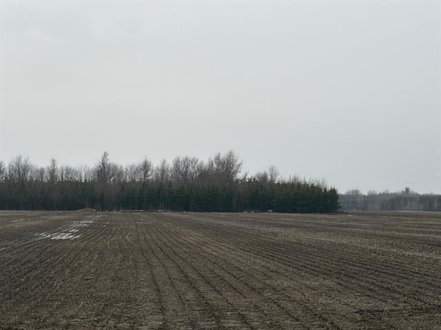 Terrain | 3279573