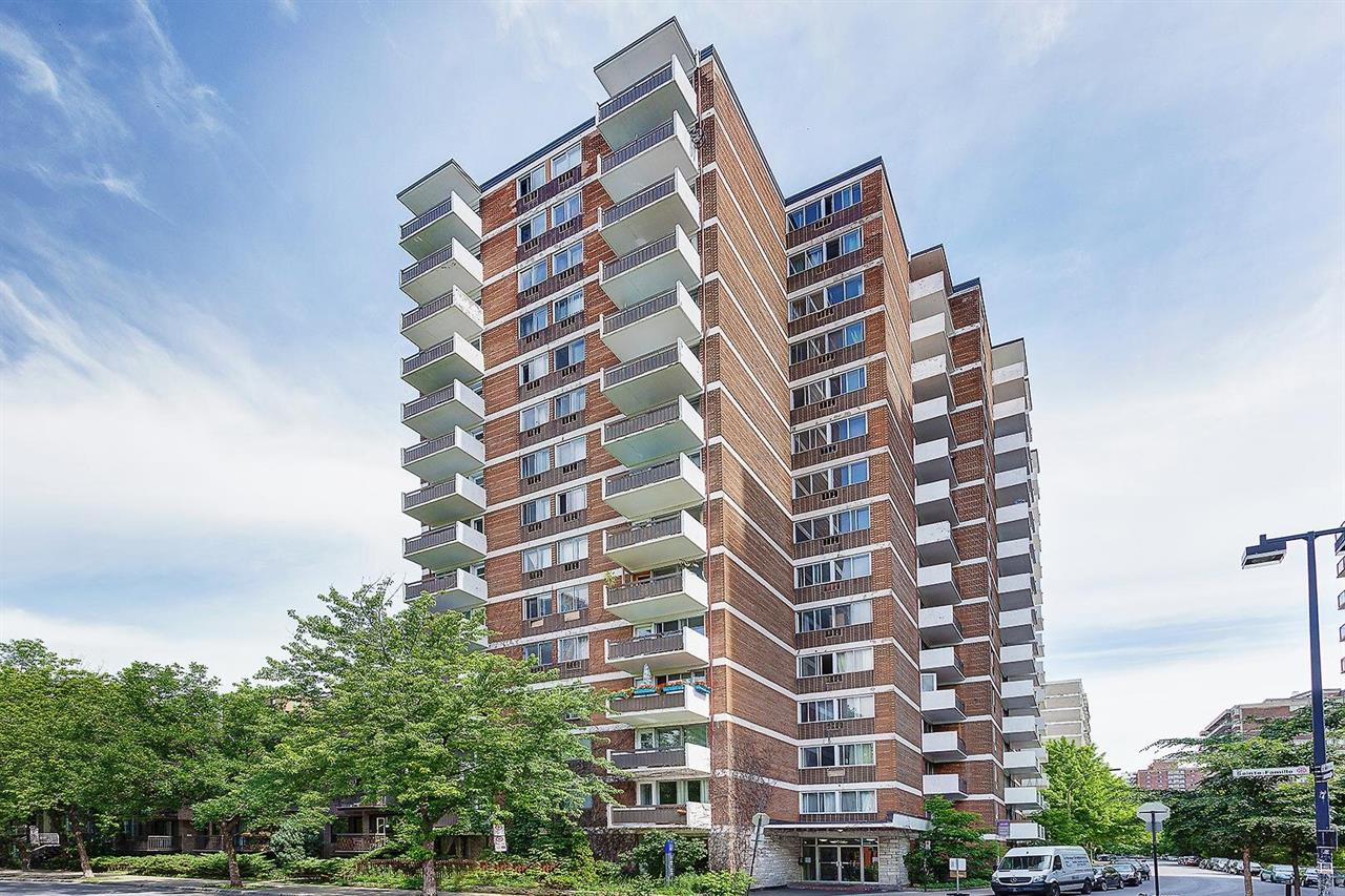 1 Bedroom - 3505 Sainte-Famille,, Montréal | 3274705