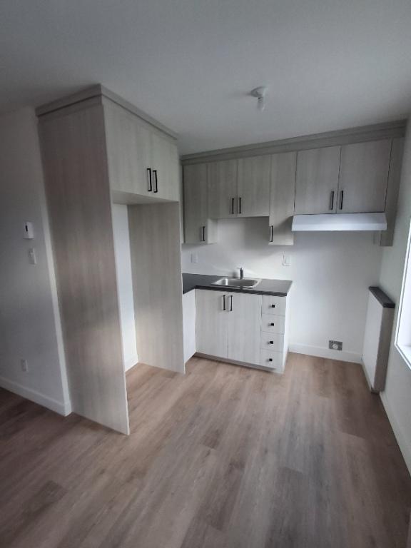 Logement 5 1/2 - 3e étage - refait à neuf - disponible immédiatement | 3280011