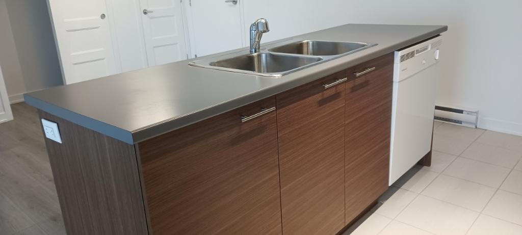 DÉJÀ COMBLÉ - 4 1/2 AVEC GARAGE ET ASCENSEUR À ST-CONSTANT | 3284848