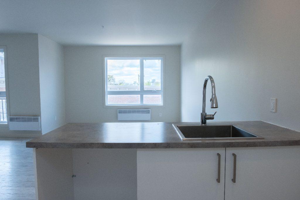 5.5 spacieux et lumineux | 3300692