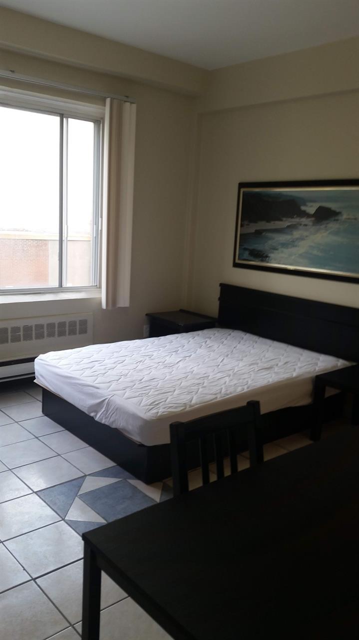 Situé Au Cœur Du Ghetto McGill, Super Studio-loft Rénové | 3283004