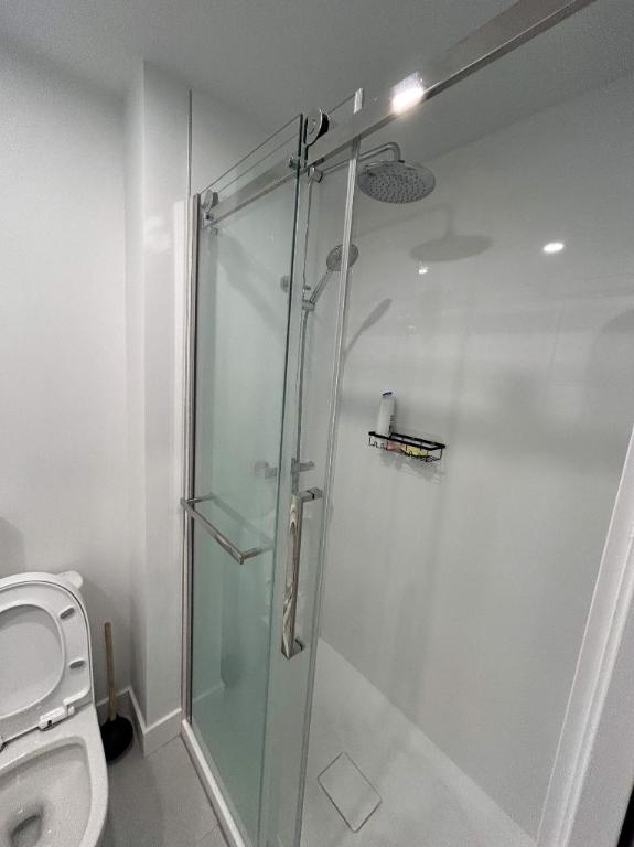 Studio - Montréal - $1,565 /mo | 3280951