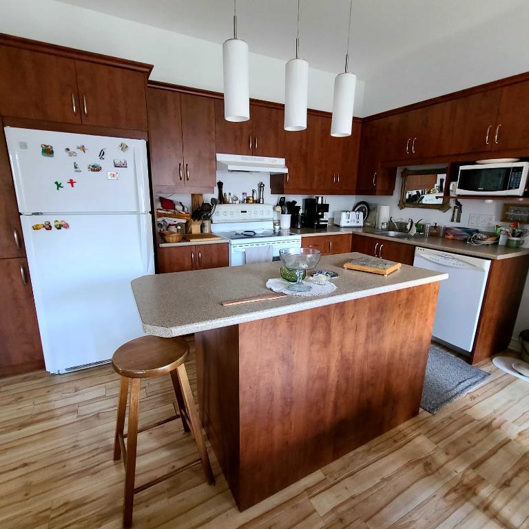Appartement de rêve 4½, à louer à l’année 1500$/mois à Sutton | 3285366