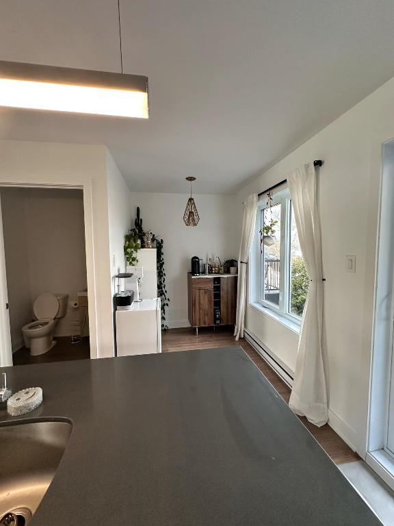 Grand appartement 4 1/2 sur 2 étages | 3280019