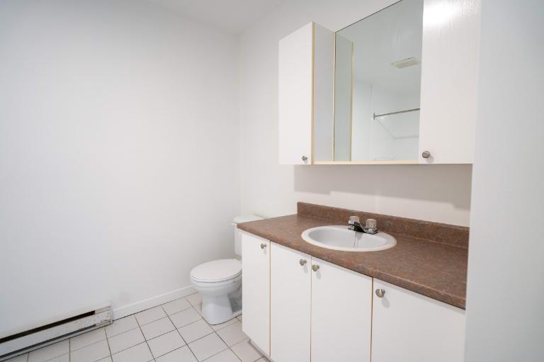 1 CH - 1 SDB - Saint-Charles-Borromée - $1,095 /mo | 3282947