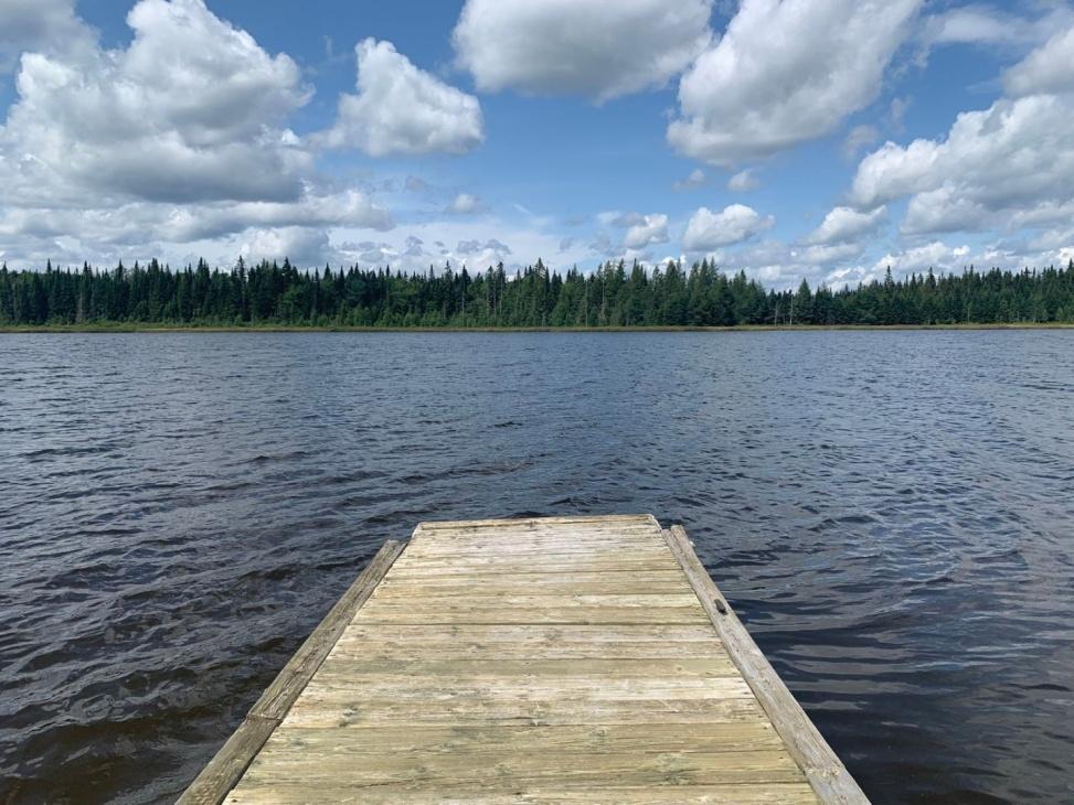 Petit chalet au bord d'un lac naturel tranquille ensemencé de truites | 3277598