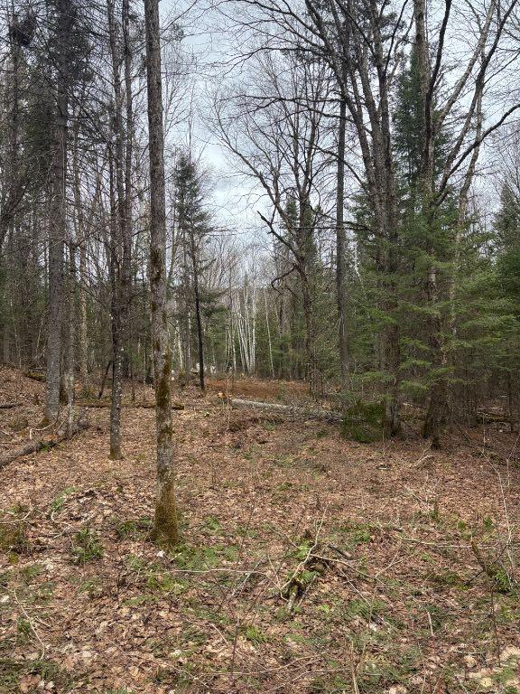 Terrain hautes Laurentides | 3283696