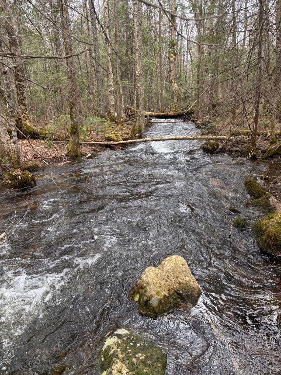 Terrain hautes Laurentides | 3283696