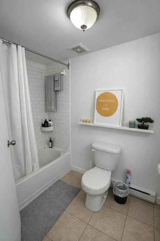 1 CH - 1 SDB - Montréal - $1,250 /mo | 3277879