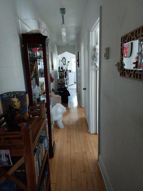 Logement à louer Montréal-Mercier libre juillet 1480$ stationnement. Transport en commun,centre commercial de marche,parc Belle-Rive 514 235-2367 | 3277867