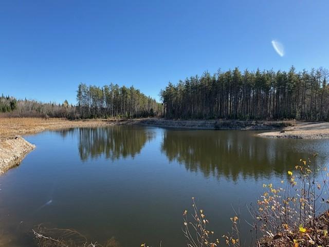 Petit Lac privé + acces Lac Croche , poss. sub. en 4 terrains. | 3277611
