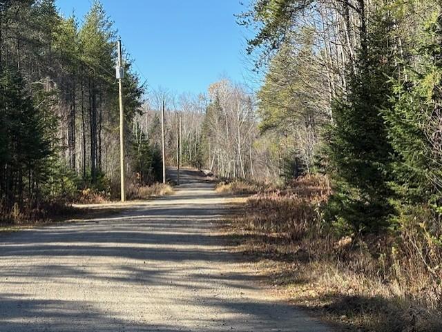 Petit Lac privé + acces Lac Croche , poss. sub. en 4 terrains. | 3277611