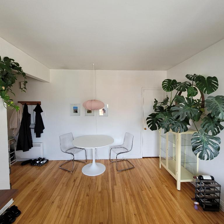 3 1/2 Vieux-Longueuil RÉNOVÉ | 3278733