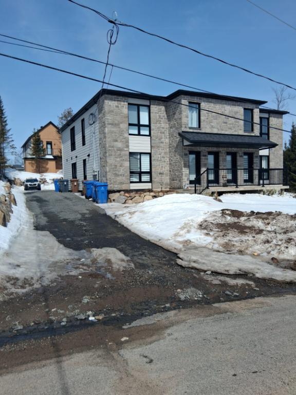Logement 4 ½ construction récente à louer – Saint-Donat-de-Montcalm | 3278744