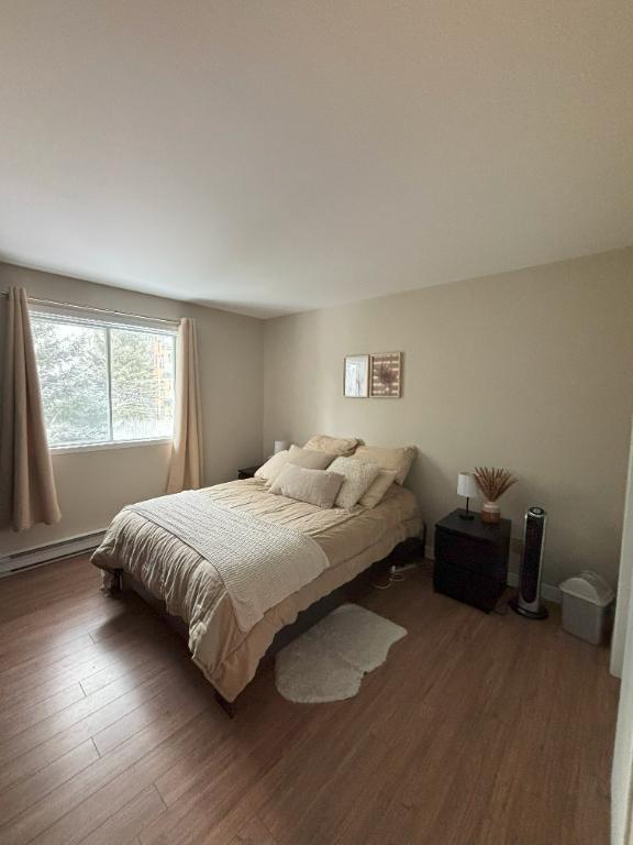 Grand, propre, bien situé, 4 1/2 2 chambres Appartement à louer Lévis /St-Nicolas | 3279272