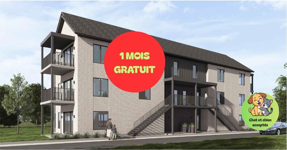 NOUVEAUX LOGEMENTS À LOUER – SOYEZ LES PREMIERS À Y HABITER ! ✨ 🏡 Magnifiques grands 4 ½ de 1010 pi² dans un immeuble de construction neuve | 3279481