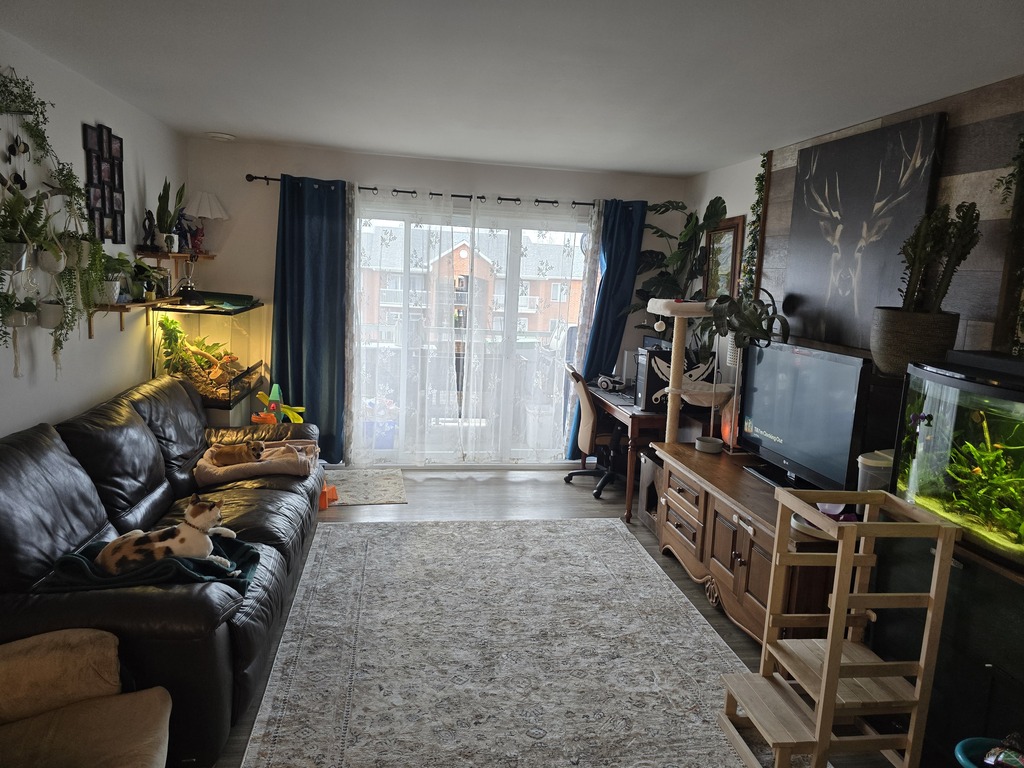 4 1/2 à Louer Sherbrooke | 3264359