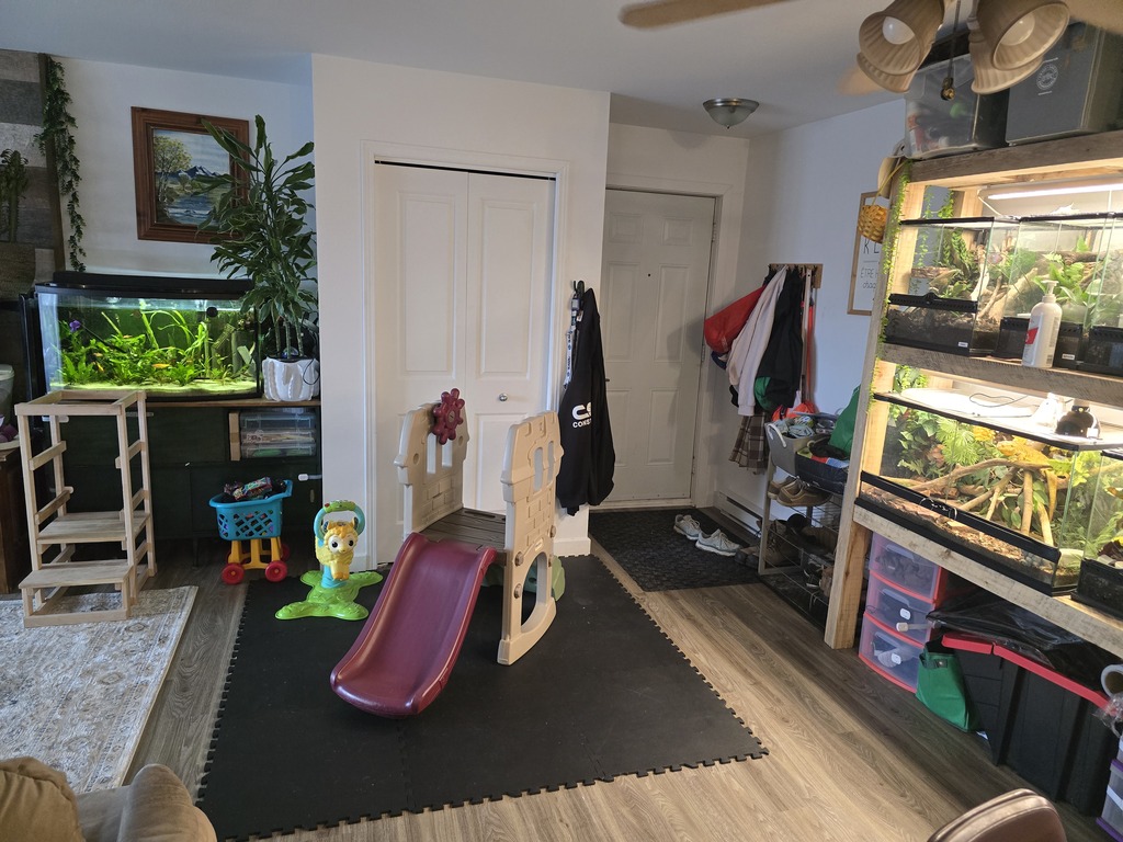 4 1/2 à Louer Sherbrooke | 3264359