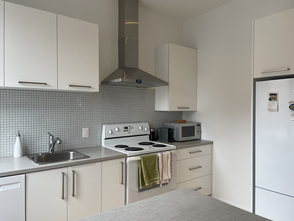 4 1/2 Rénové Au Coeur Du Centre-ville | 3264369