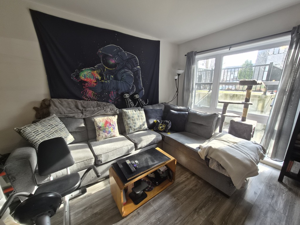 3 1/2 à Louer 1er Juillet | 3264379