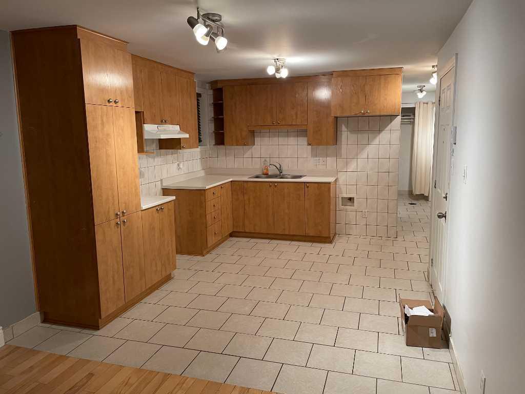 3 1/2 Rosemont sous-sol Basement Triplex | 3280904
